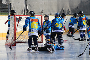 Öffentliches Showtraining der Ice Tigers am Warmen Damm
