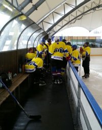 Dem Adler die Flügel gestutzt!